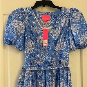 Lilly Pulitzer Blue and White Puff Sleeve Dress Ezralyn Maxi